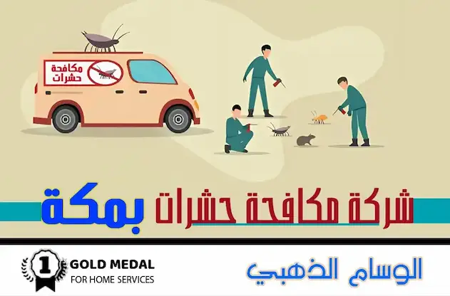 شركة مكافحة حشرات بمكة
